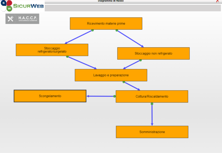 Haccp Esempio Diagramma Flusso Dettagliato My Xxx Hot Girl